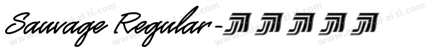 Sauvage Regular字体转换
